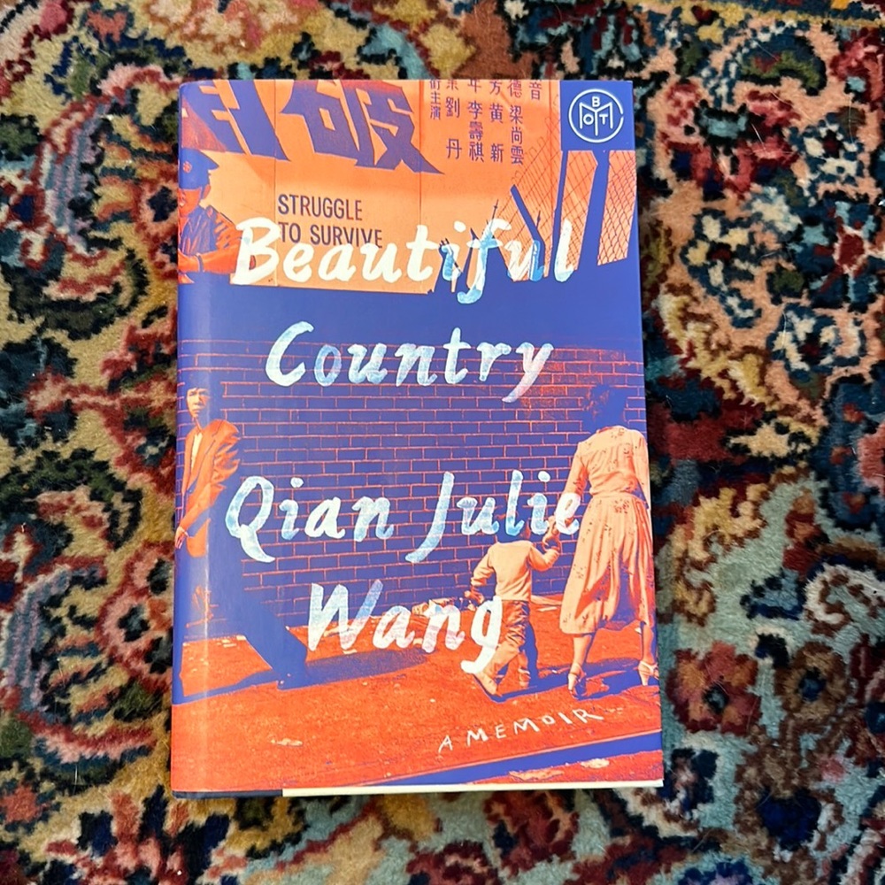 Beautiful Country by Qian Julie Wang